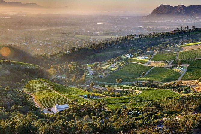 Full day Cape Point + Constantia Wine Tour with Private Transfer - Authentic Experiences Highlighted by Travelers