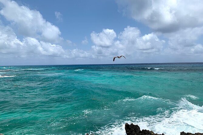 Full-Day Catamaran Cozumel Tour with Sky Snorkeling - Practical Aspects and What They Mean for You