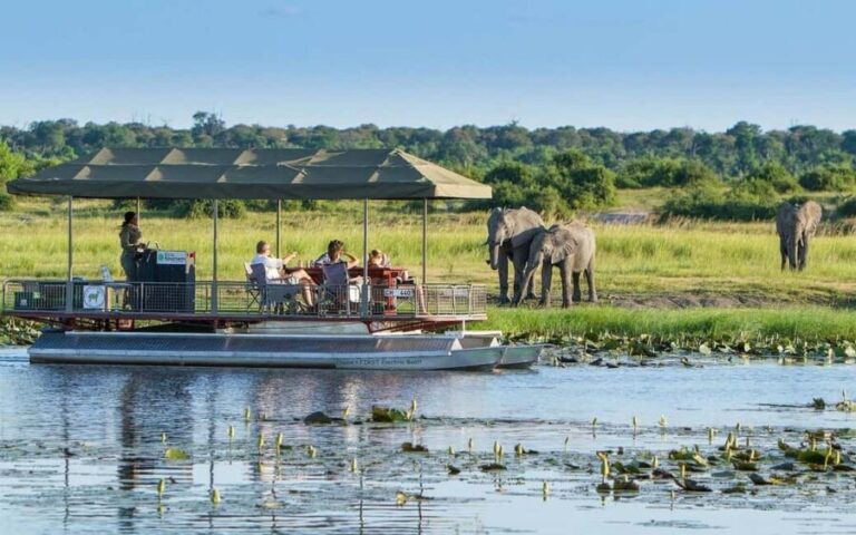 Full Day Chobe Trip From Livingstone Town Zambia - Final Thoughts: Who Will Appreciate This Experience?