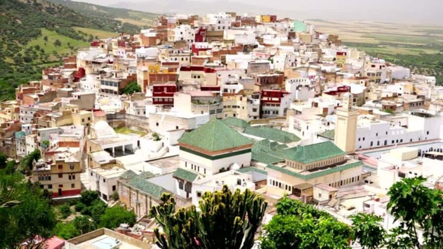 Full-Day Cultural Tour From Fes: Explore Volubilis & Meknes - Authentic Experiences and Practical Insights