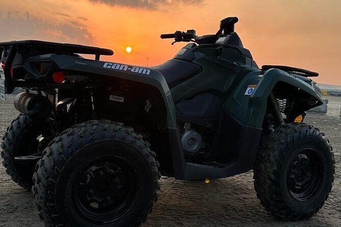 Full Day Desert Safari Doha/dinner included - Exploring the Itinerary in Detail