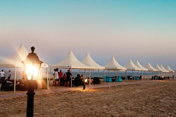 Full Day Desert Safari with Camp Access, Buffet Dinner,Camel Ride - The Experience from the Travelers’ Perspective