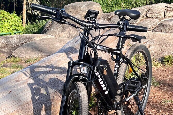 Full Day E-Bike Rental in San Francisco Charger Included! - The Bottom Line