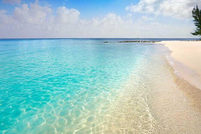 Full-Day El Cielo Snorkel Tour in Cozumel with Transportation and Lunch - Practical Aspects and What They Mean for You