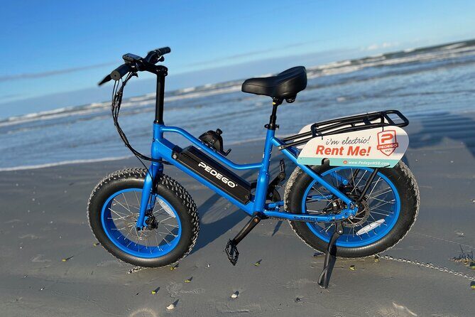 Full-Day Electric Bike Rental - The Experience: What Makes It Special