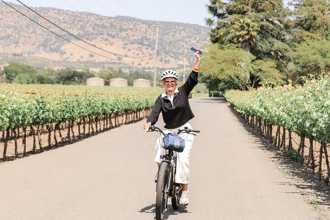 Full-Day Electric Bike Rental - What Makes the Electric Bikes Special?