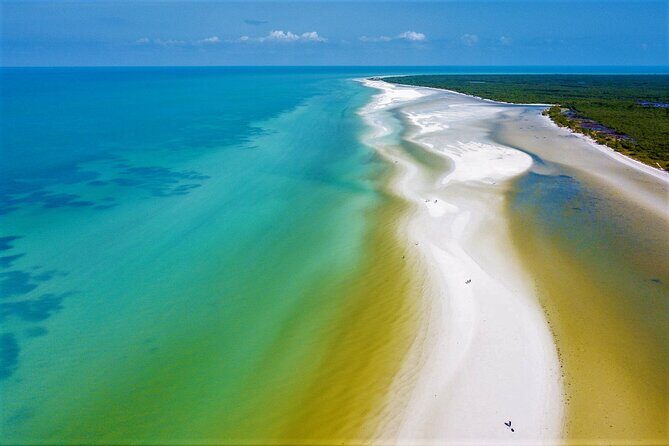 Full Day Excursion to the Best of Holbox From Riviera Maya - Traveler Feedback and Authentic Insights