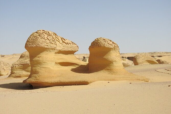 Full Day Fayoum Oasis and Waterfalls of Wadi El-Rayan - The Value and Practicalities