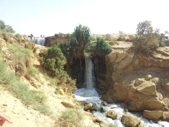 Full-Day Fayoum Oasis Private Tour from Cairo or Giza - The Sum Up: Who Will Love This Tour?
