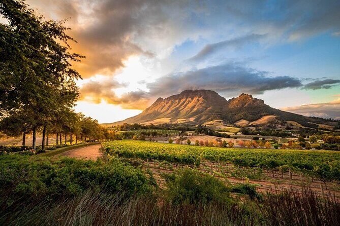 Full-Day Franschhoek Wine Tour from Cape Town - What to Expect from the Itinerary