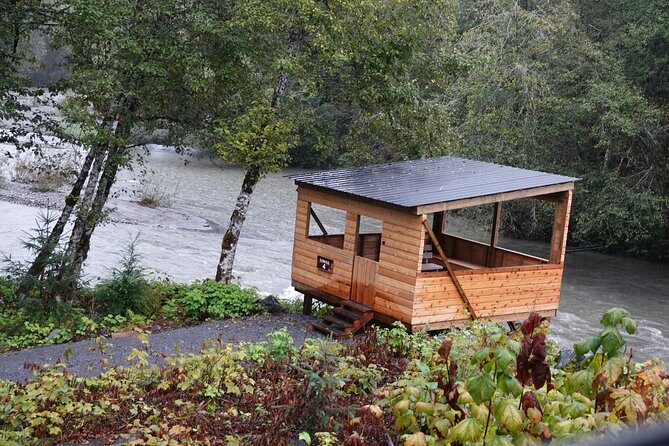 Full Day Grizzly Bear Tour to Toba Inlet - Overview and What to Expect