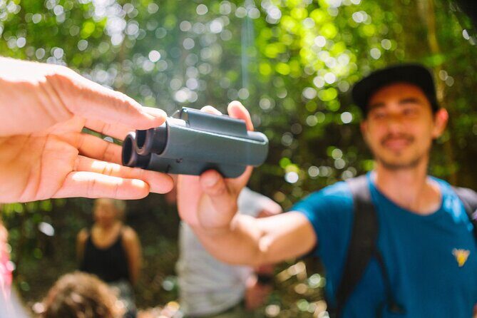 Full-Day Hakalau Forest Reserve Bird Watching Adventure - A Close Look at the Itinerary and Experience