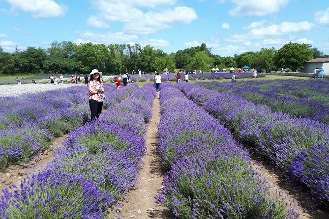 Full-Day Highlights of Prince Edward County Private Tour - Practical Details and Value