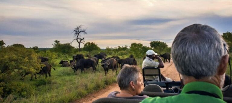 Full Day Isimangaliso Wetlands Park Tour from Durban - Who Should Consider This Tour?