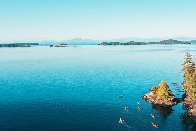Full Day Kayaking Adventure on Vancouver Island - What Makes It Special?