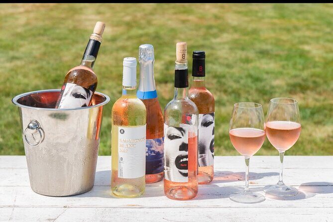 Full-Day Luxury Long Island Private Winery Tour - Who Would Love This Tour?