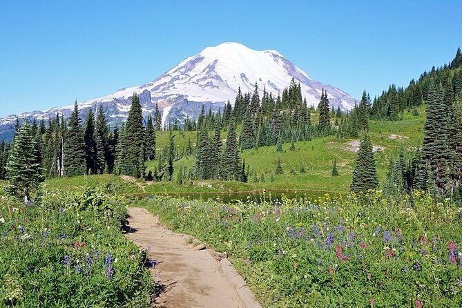 Full-Day Mt Rainier National Park Private Tour in SUV - Authenticity and Tips