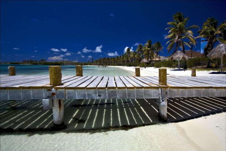 Full Day Nature Expedition to Contoy Island and Isla Mujeres - Analyzing the Experience: What to Expect