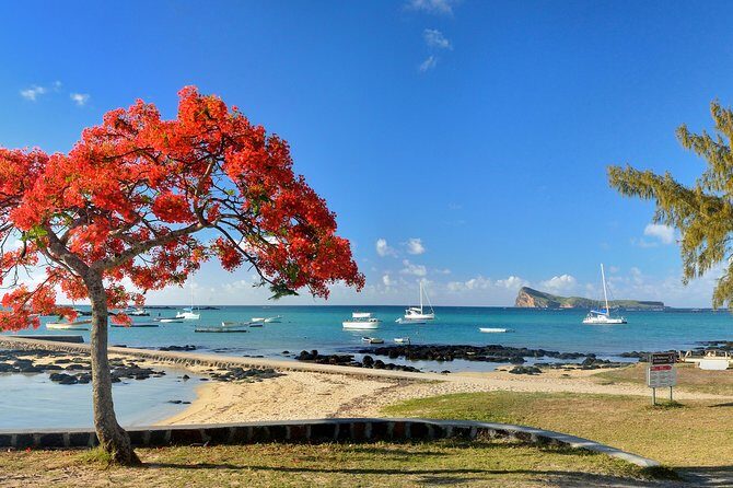 Full Day North Private Guided Tour Mauritius: including lunch - What the Tour Experience Means for You
