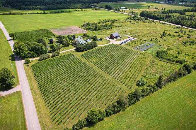 Full Day Pontiac Wine & Cider Tour - Day Trip From Ottawa & Gatineau - What To Expect from the Experience