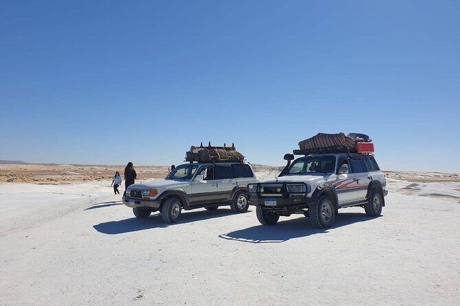 Full Day Private Bahariya Oasis and White Desert Tour from Cairo - What Makes This Tour Special?