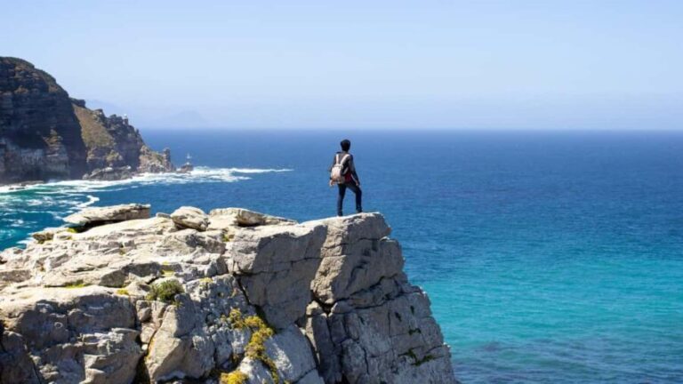 Full-Day Private: Best of the Cape - An In-Depth Look at the Tour Experience
