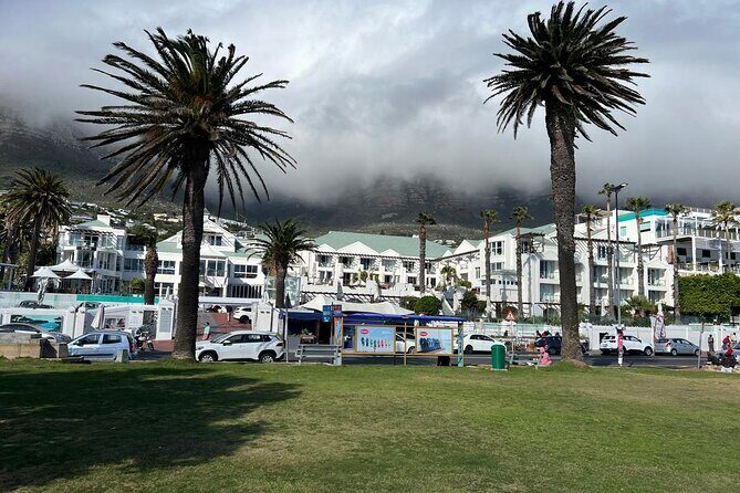 Full-Day Private Cape Towns Beaches Tour - Authentic Experiences and Real Opinions