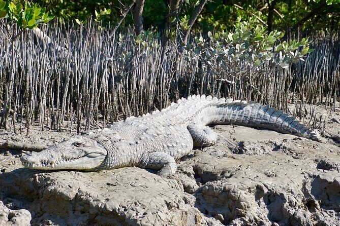 Full-Day Private Everglades and Miami City Tour - Who Should Book This Tour?