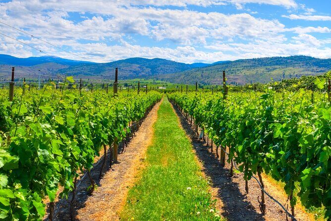 Full-Day Private Fraser Valley Wine Tour from Vancouver - A Closer Look at the Itinerary