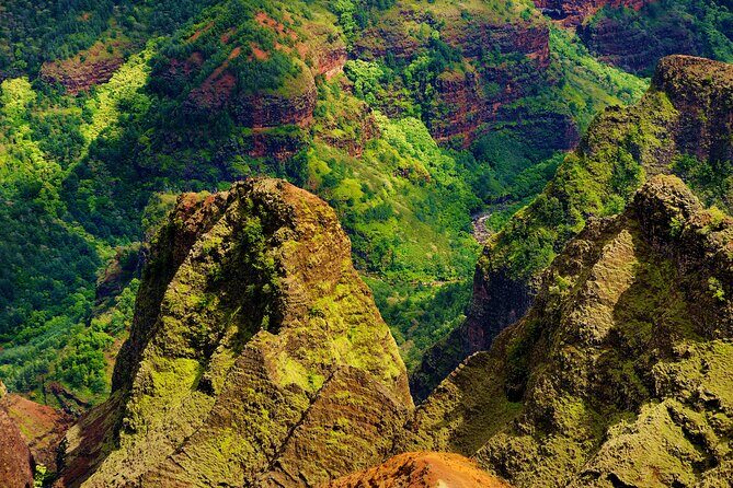 Full-Day Private Kauai's Waimea Canyon and South Side Tour - Who Should Consider This Tour?