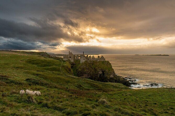 Full Day Private Luxury Tour of Causeway Coast (Giants Causeway) - An In-Depth Look at the Causeway Coast Private Tour