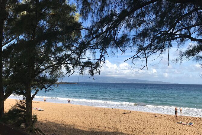 Full Day Private Maui Tour - An In-Depth Look at the Tour Experience