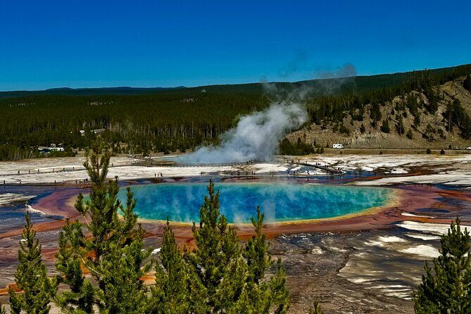 Full Day Private Pet Friendly Yellowstone Tour From Cody Wyo! - Itinerary Breakdown: Why Every Stop Matters