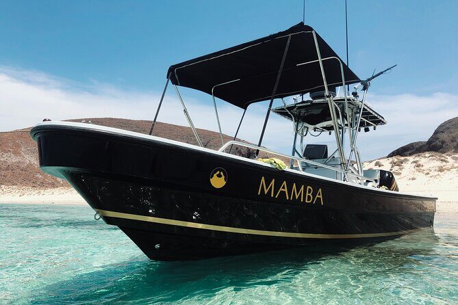 Full Day Private Scuba Diving in Espiritu Santo Island - Authenticity & Quality Based on Reviews