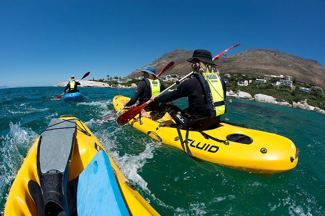 Full Day Private Sea Kayaking & Cape Point - Who Should Consider This Tour?