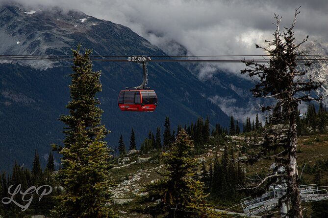 Full-Day Private Tour from Bellingham to Whistler B.C. Canada - Analyzing the Value