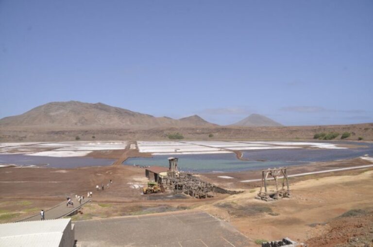 Full Day Private Tour in Sal Island - Practical Insights on the Tours Offerings and Value