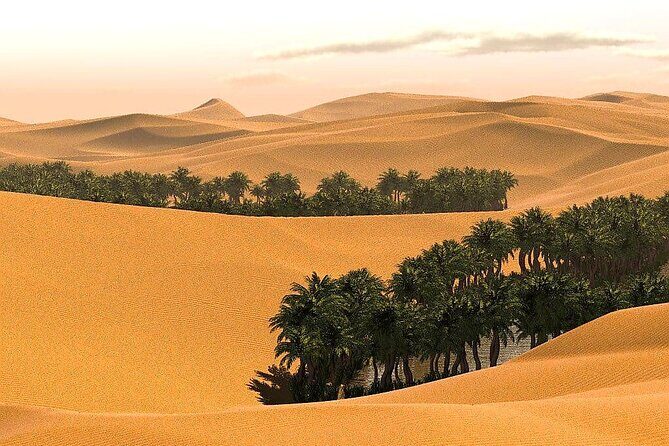 Full-Day Private Wahiba Sands Desert and Wadi Bani Khalid Tour - What Makes This Tour Stand Out?