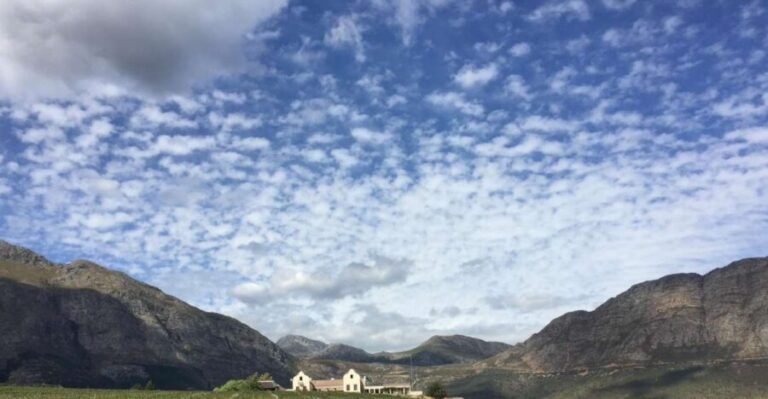 Full-Day Private Wine Route Tour - What Travelers Say: Authentic Experiences & Cautions
