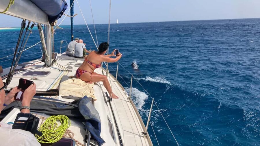 Full day sailing boat in Sal, Cape Verde:taste the Atlantic! - An In-Depth Look at the Full-Day Sailing Experience