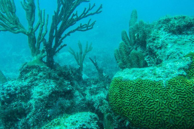 Full-Day Sailing Trip to Mujeres Island from Playa del Carmen - What Reviewers Are Saying