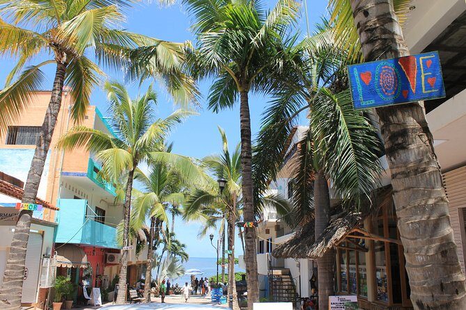 Full-Day Sayulita and San Pancho from Puerto Vallarta - Transportation, Group Size, and Timing