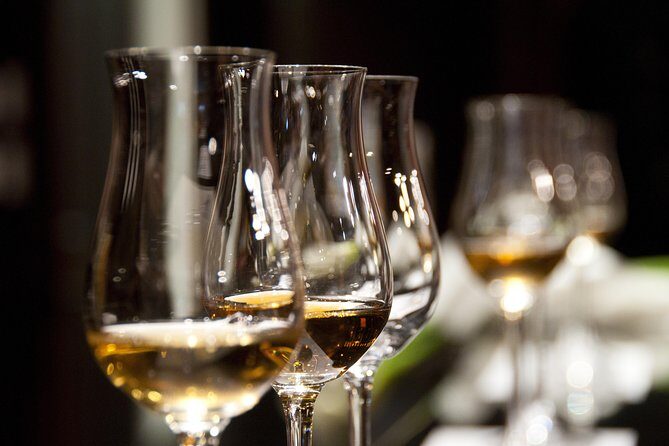 Full-Day Stellenbosch, Franschhoek and Paarl Wine Tasting Tour from Cape Town - The Sum Up