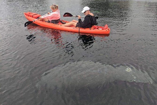 Full Day Tandem Kayak Rental For Two People In Crystal River, Florida - The Final Word: Is It Worth It?