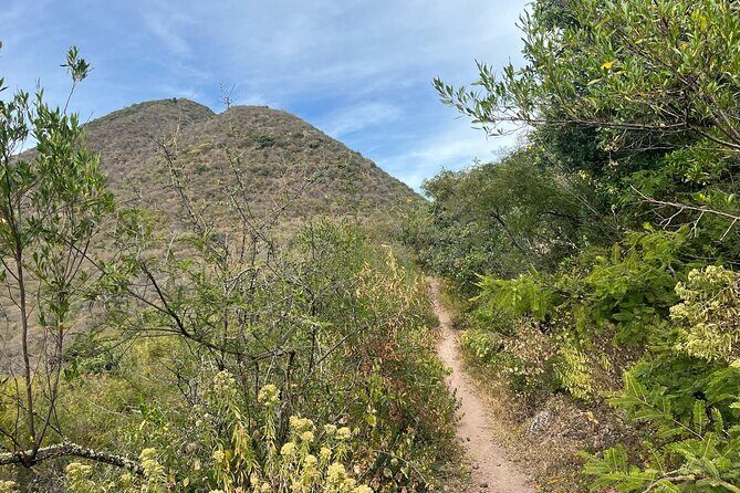 Full Day Teotitlan Del Valle Village Private Tour - Final Thoughts