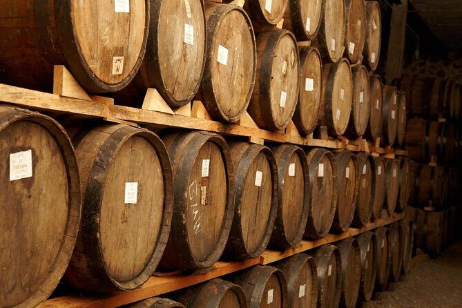 Full-Day Tequila Tour from Guadalajara - The Historic La Rojena Distillery