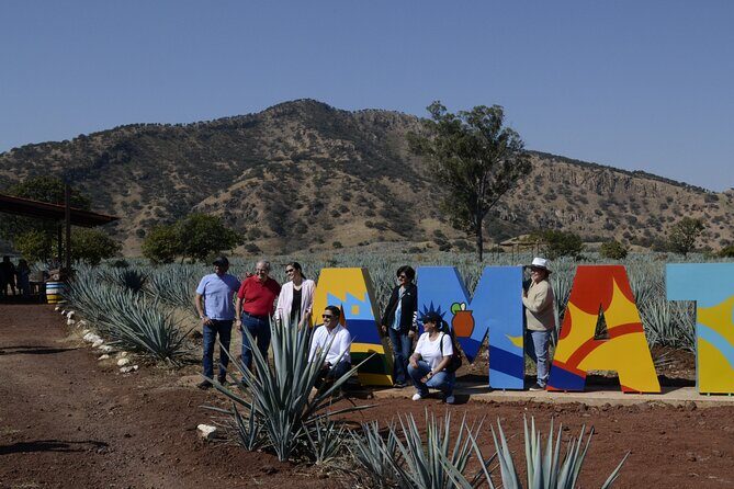 full day Tequila tour visiting artisanal distillery and downtown. - The Experience: What Travelers Can Expect