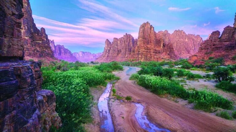 Full day tour A tour through Wadi Al Disa - Authentic Experience and Practical Tips