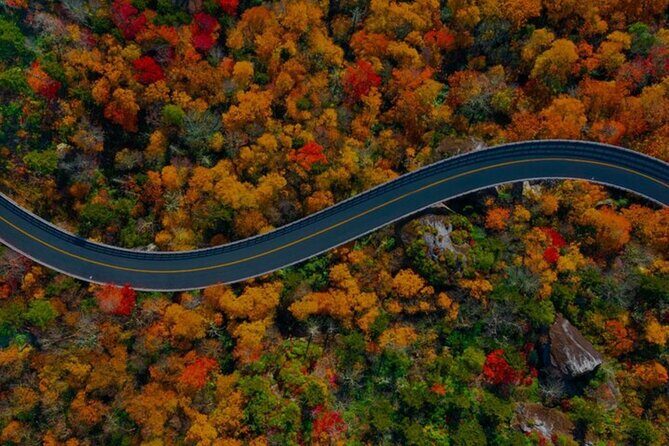 Full Day Tour from Atlanta to Amicalola Falls and Blue Ridge - Amicalola Falls State Park: A Natural Masterpiece