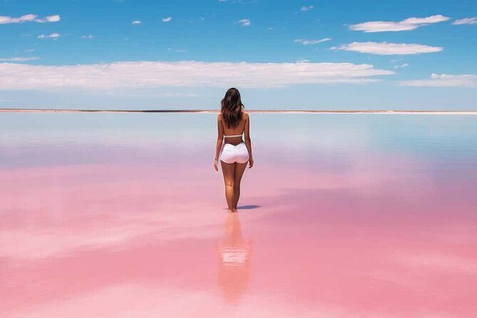 Full Day Tour from Cancun Rio Lagartos and Las Coloradas - What Travelers Say